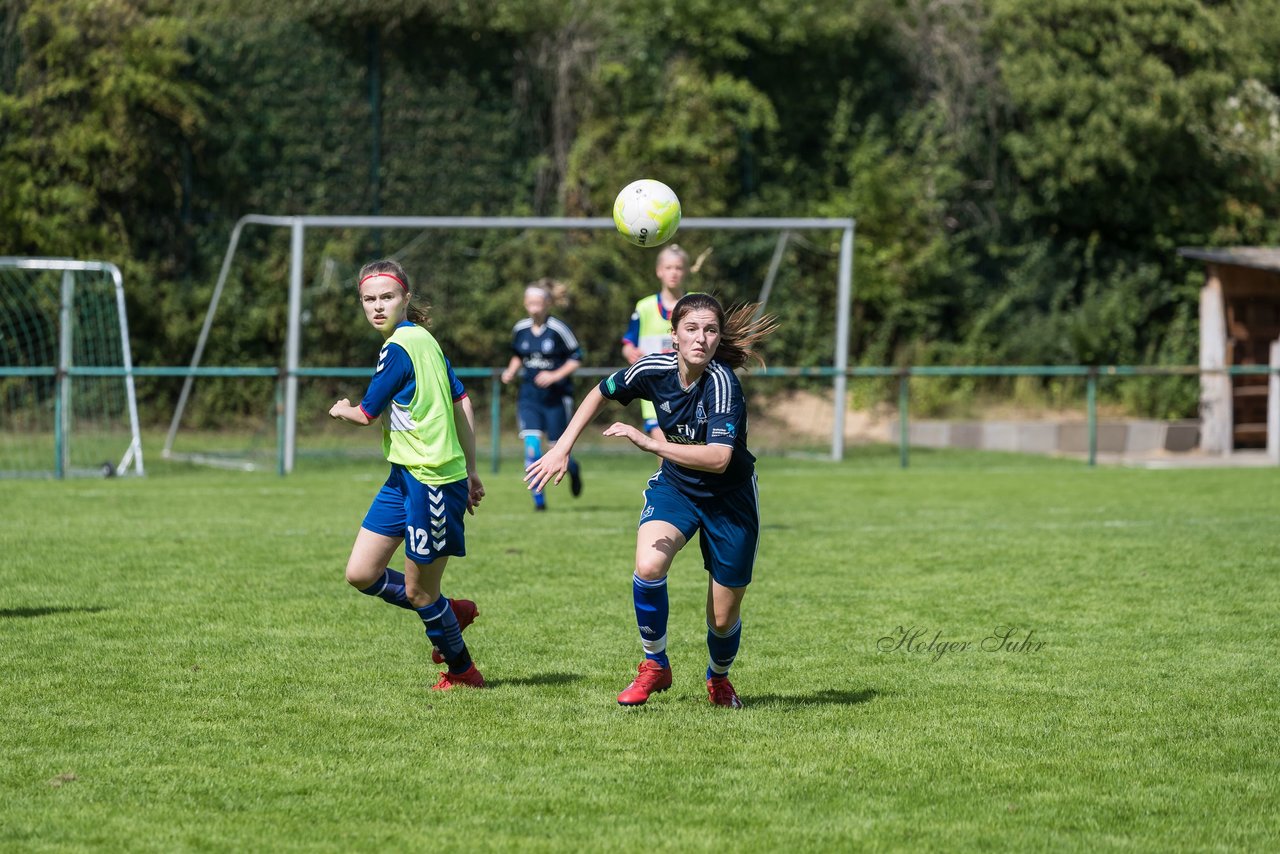 Bild 303 - B-Juniorinnen VfL Pinneberg - HSV : Ergebnis: 1:4